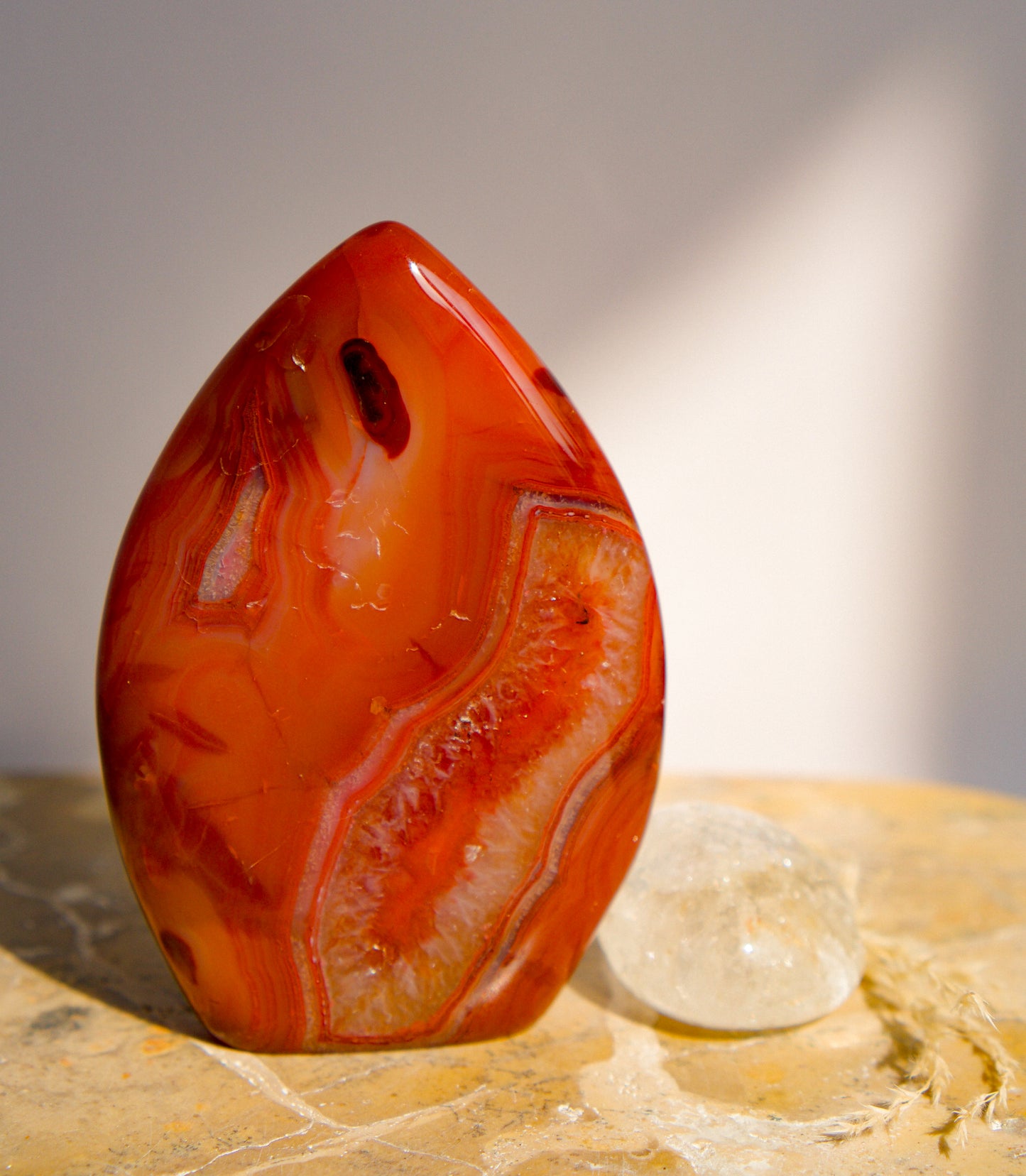 A carnelian free form flame polished teardrop-shaped agate crystal with swirling bands of red, orange, and white, standing on a textured stone surface next to a small clear quartz crystal.