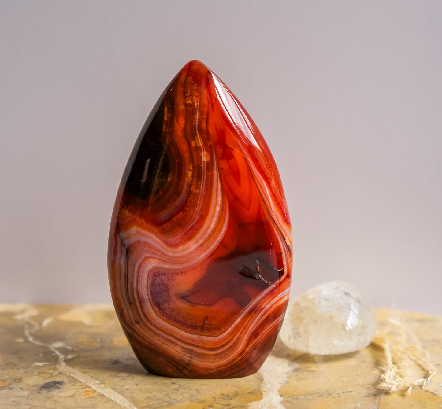 A polished teardrop-shaped red agate crystal with swirling bands of red, orange, and brown, standing on a stone surface next to a clear quartz crystal against a neutral gray background.