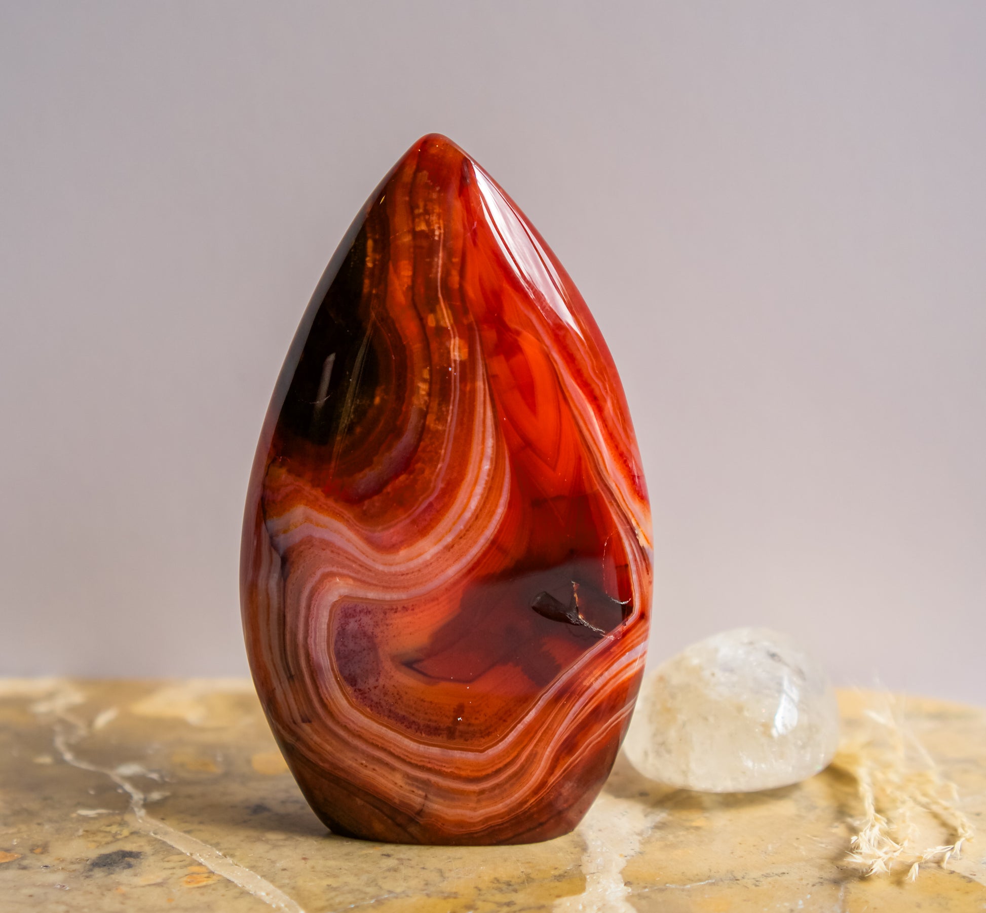 A polished teardrop-shaped red agate crystal with swirling bands of red, orange, and brown, standing on a stone surface next to a clear quartz crystal against a neutral gray background.