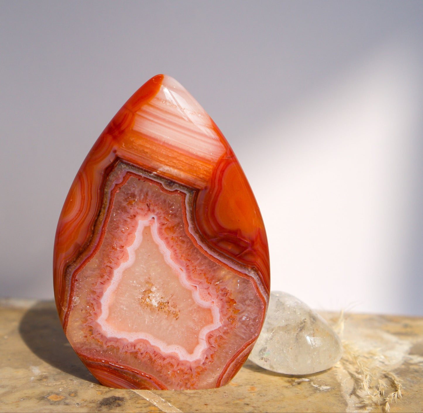 A polished freeform Carnelian flame  teardrop-shaped agate crystal with vibrant orange, red, and pink banded patterns, displayed on a stone surface next to a clear quartz crystal against a neutral gray background.