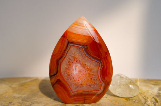 A polished freeform Carnelian flame  teardrop-shaped agate crystal with vibrant orange, red, and pink banded patterns, displayed on a stone surface next to a clear quartz crystal against a neutral gray background.