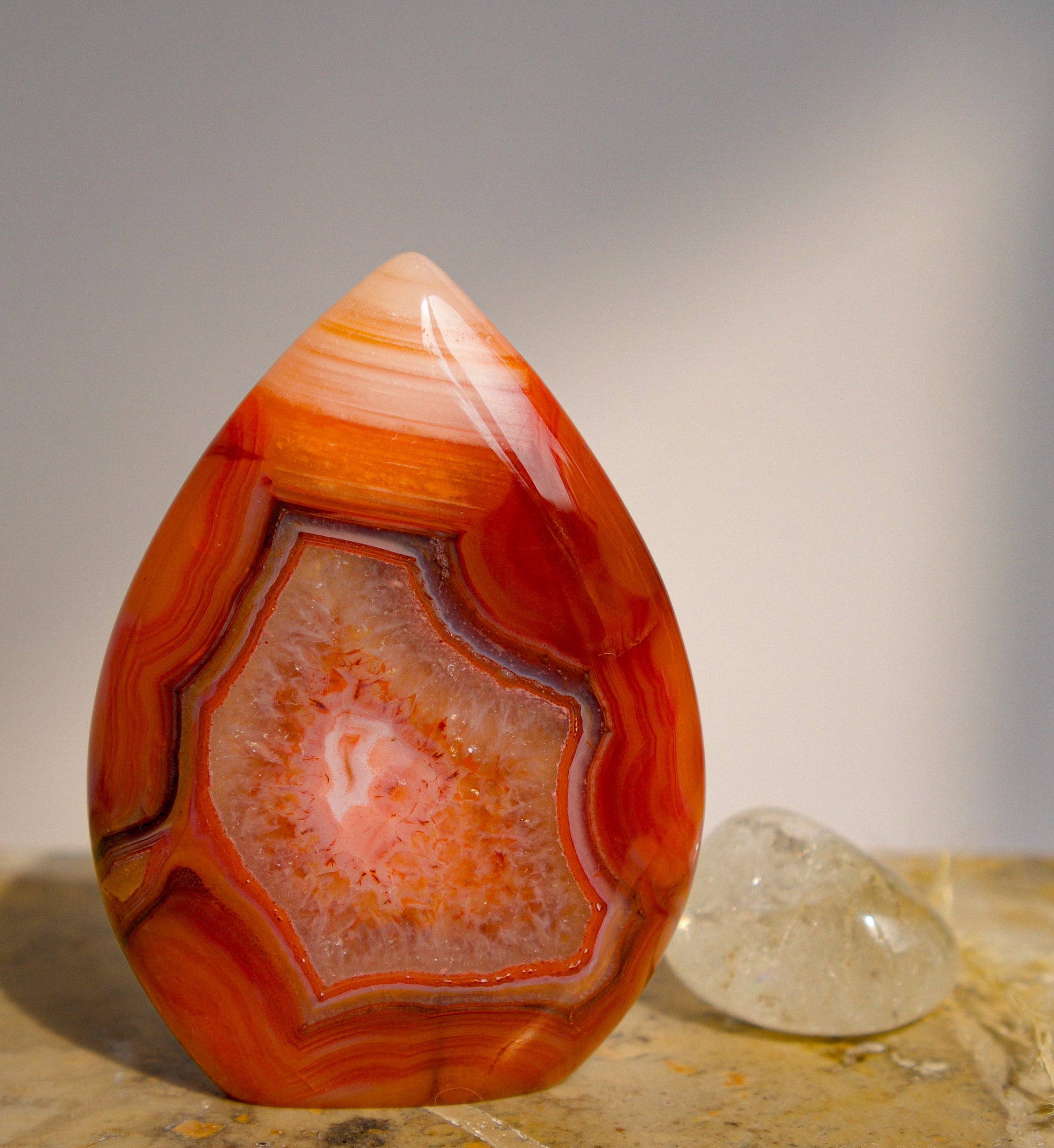 A polished freeform Carnelian flame  teardrop-shaped agate crystal with vibrant orange, red, and pink banded patterns, displayed on a stone surface next to a clear quartz crystal against a neutral gray background.