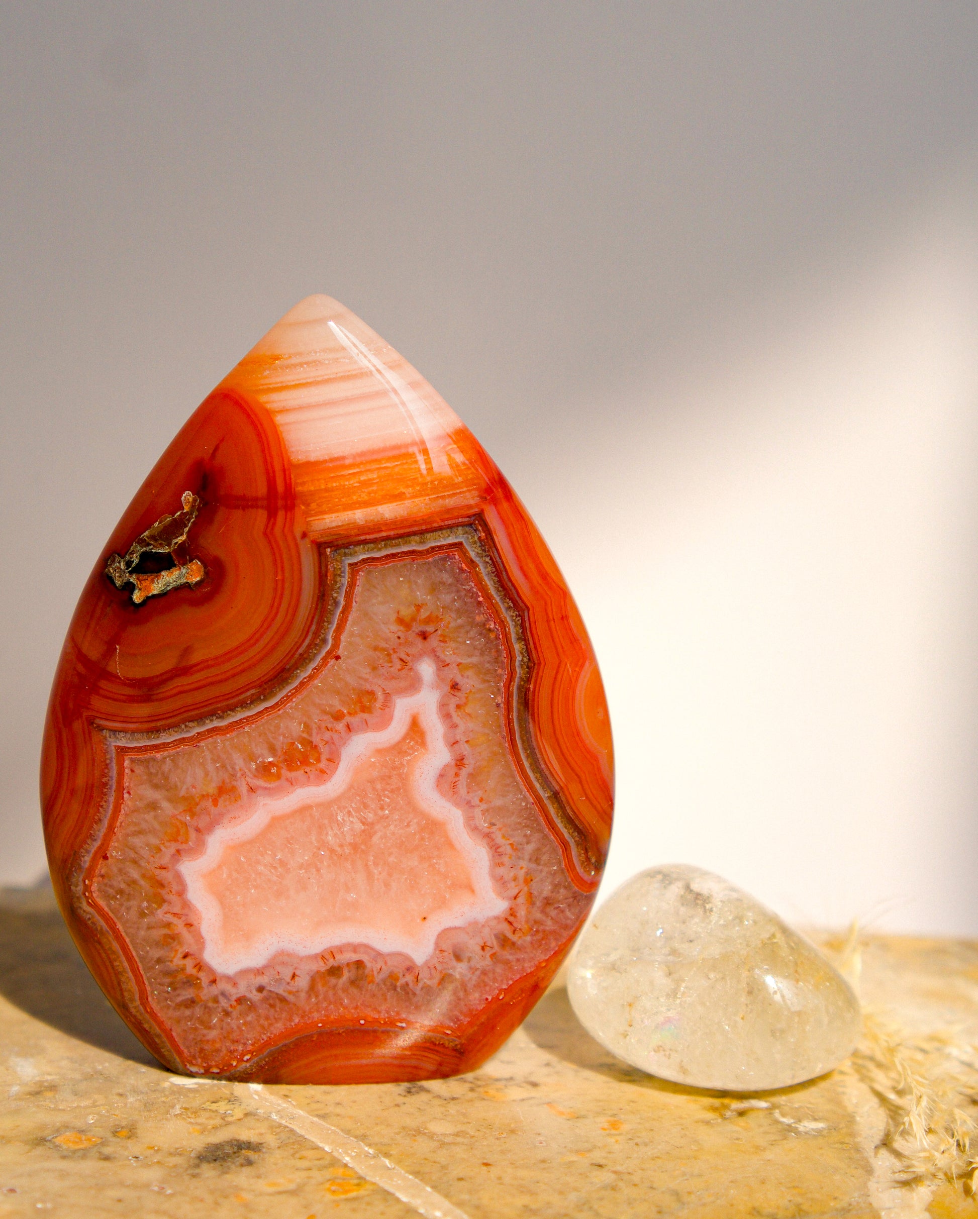 A polished freeform Carnelian flame  teardrop-shaped agate crystal with vibrant orange, red, and pink banded patterns, displayed on a stone surface next to a clear quartz crystal against a neutral gray background.
