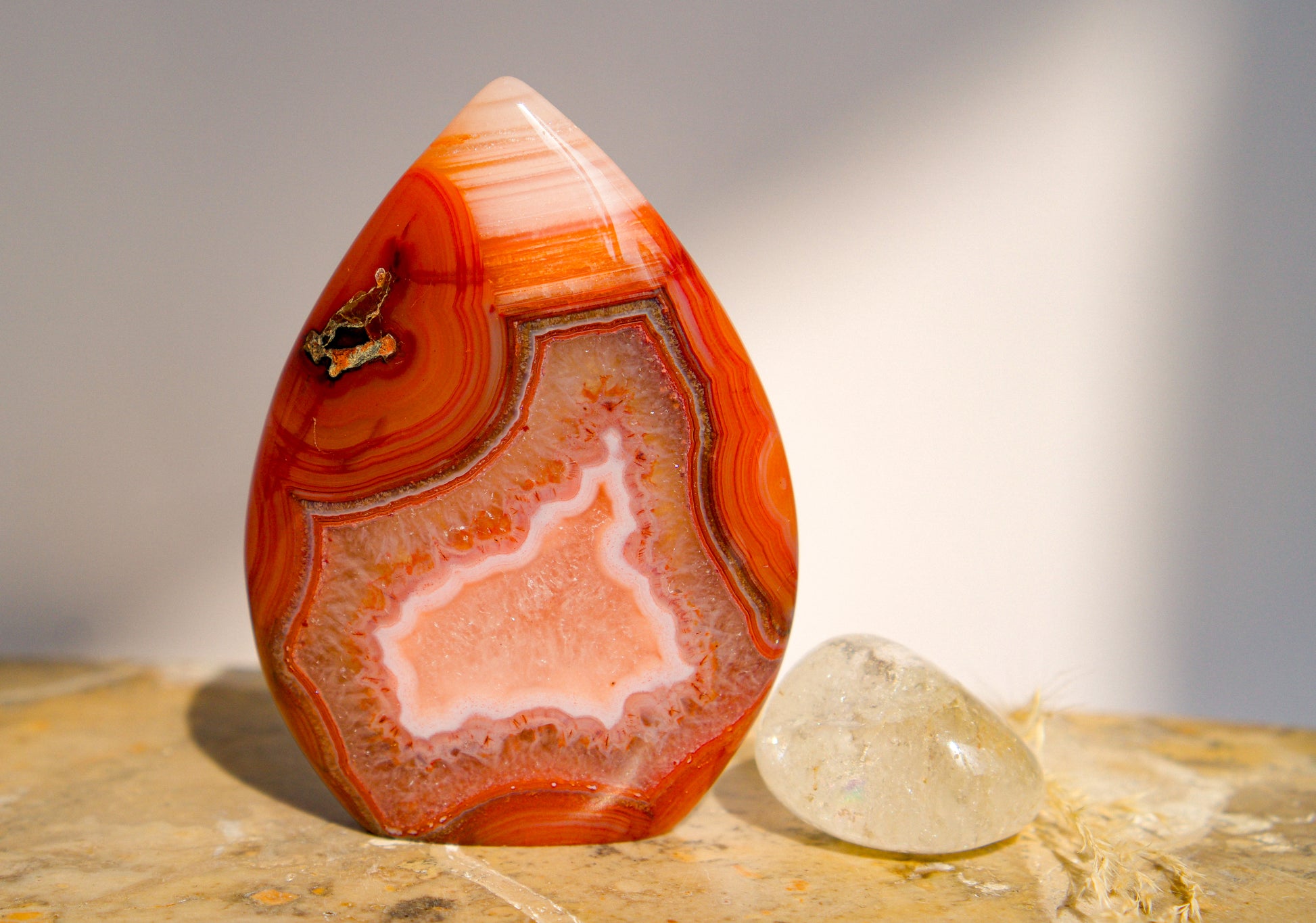 A polished freeform Carnelian flame  teardrop-shaped agate crystal with vibrant orange, red, and pink banded patterns, displayed on a stone surface next to a clear quartz crystal against a neutral gray background.