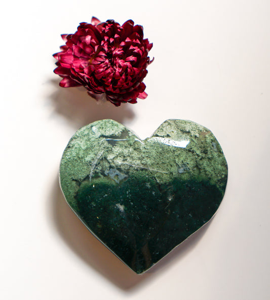 Deep forest green moss agate heart carving beside a dried red flower