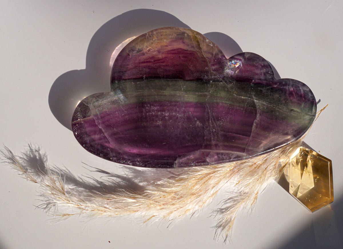 Rainbow fluorite cloud dish in purple and olive banding with a citrine crystal point and dried pampas grass