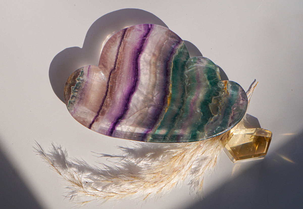 Rainbow fluorite cloud dish in purple and teal rainbow banding with a citrine crystal point and dried pampas grass