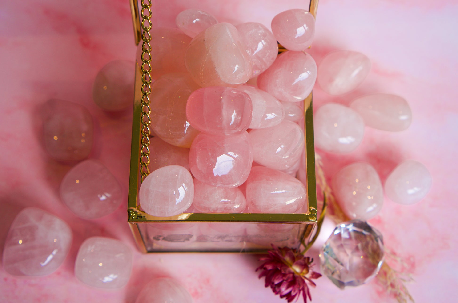 Pink Brazilian rose quartz tumbled stones arranged inside a gold-framed glass box on a pink marble surface, with a few stones and a dried flower scattered around.