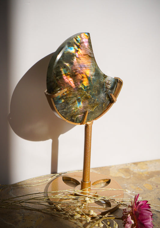 A polished iridescent sunset flash rainbow labradorite moon piece mounted on a gold-toned metal stand, displayed on a marble surface with dried grass and a pink flower against a white wall.