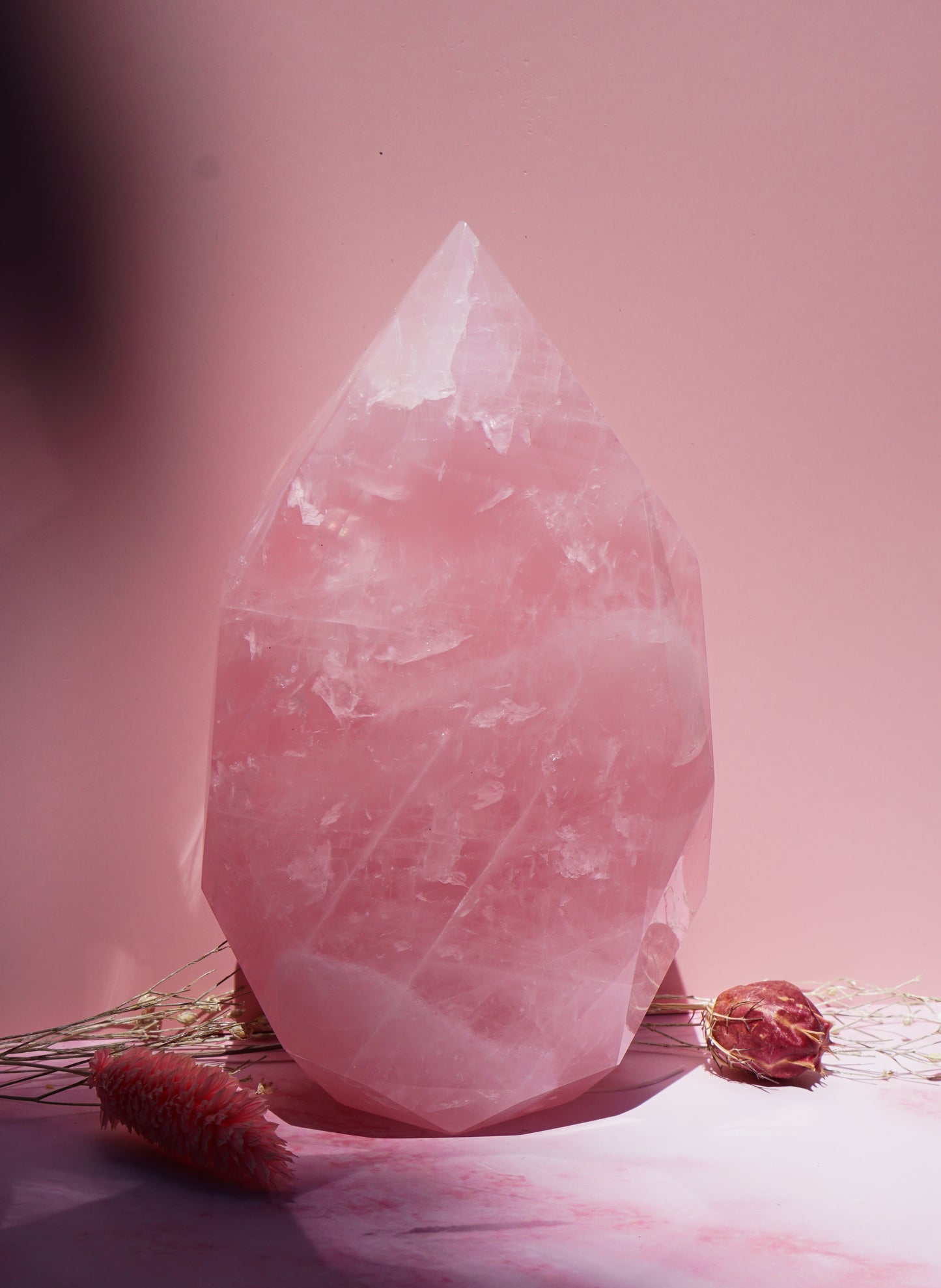 A large pink rose quartz crystal faceted freeform flame with natural striations, styled on a pink surface with dried botanicals against a solid pink background.