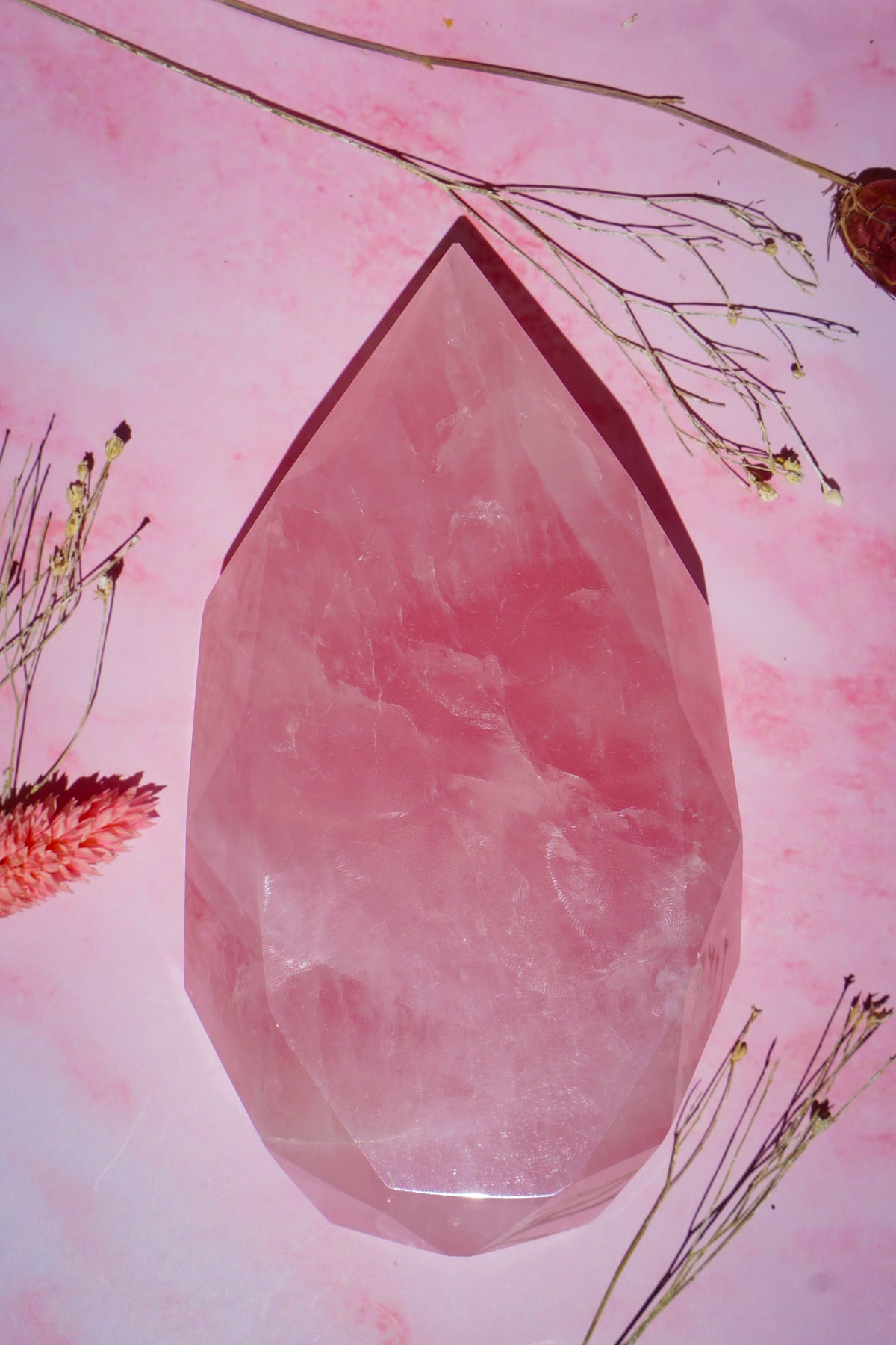 A faceted brazilian rose quartz flame carved  crystal tower, photographed from above on a pink background with dried botanical stems around it.