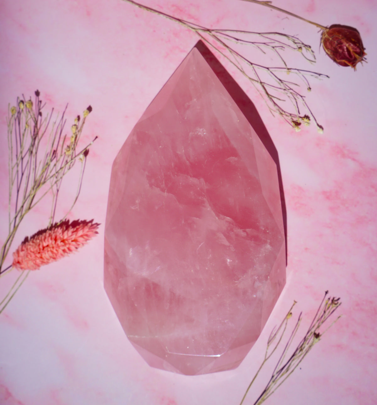 A faceted brazilian rose quartz flame carved crystal tower or point-shaped stone centered on a pink background with dried floral stems arranged around it.